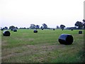 Silage Rolls near Cranberry Farm