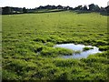 Field near Coddington