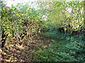 Footpath South West of Llanharry