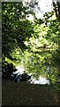 Pond at Cutlers Green