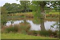 Fishing Pond, Near Solomon