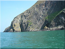 SN0041 : Dinas Head from the sea by Brendan Patchell