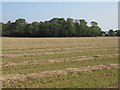 Barley stubble near Brownshall