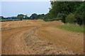 Freshly Harvested Field