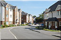 Houses in Welton Rise