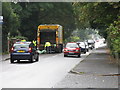 Rubbish collection on Boldmere Road