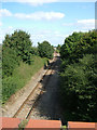 Railway line north to Saxmundham station