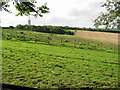 Looking W across farmland from the Elham Valley Way