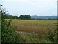 Stubble field near Old Hill Court