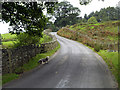 The road from Honister Pass to Buttermere Village