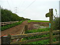 Footpath north of The Thorne