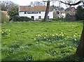 Garden House, Geldeston