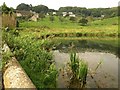 Pond, Ruscombe