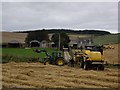 Harvesting at Lethenty