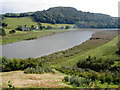 River Tamar, near Bohetherick