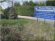 TM4287 : Winter Flora garden centre by Graham Horn