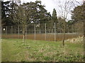 Tennis courts, Nowton Park