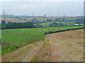 View west over the Garren Brook valley