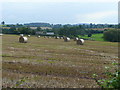 SO5222 : Harvested land near Trehumfrey by Jonathan Billinger