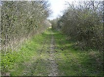 TM4083 : Bridleway towards Redisham by Graham Horn