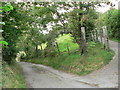 Lane up the hillside above Thomastown