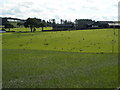 View Towards Ardoch