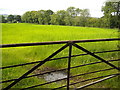 Fields Beside Jackton Road