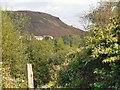 Across the Rhondda from Penrhiwfer