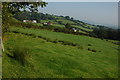 Farmland in the Twyi valley