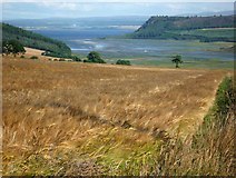NH6454 : Barley field below Tullich by Julian Paren