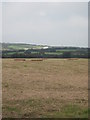 Recently harvested field at Nantrisack