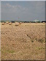 Straw bales at Lamarth Farm