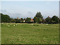 Old plough strips, South Otterington