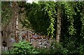 Graffiti and greenery