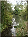 Stream, Clare Country Park