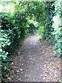 Footpath to Holt Castle