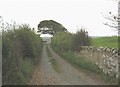 Lane leading to Prys-owain Fawr Farm