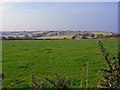 Pasture near Blaenllain, Llanwinio