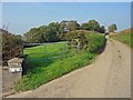 Lane near Penbigwrn, Meidrim