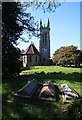 Church of St Peter & St Paul - Cattistock