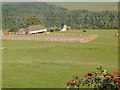 Horse schooling arena at Alton