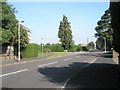 Looking northwards up Warblington Avenue