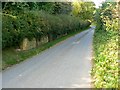 Road into Vernham Street, Hampshire