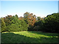 Gardens of Walmer Castle, Walmer, Kent