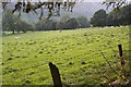 Slopes above Cwm Rhiwarth