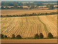 A closer look at farmland east of Marten