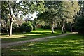 Green area between The Rushes and Reed Drive, Marchwood