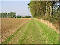 Field boundary to the E of Eythorne