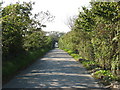 Minor road traversing a shallow valley west of Llynnon Mill