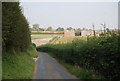 Looking NE along Stuppington Lane